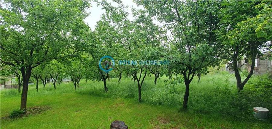 Royal Imobiliare- Vanzare Casa de Vacanta Teisani - 6