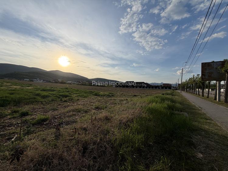 Teren intravilan | 4088 MP | MICEȘTI | TOATE UTILITĂȚILE | OPORTUNITATE - 2