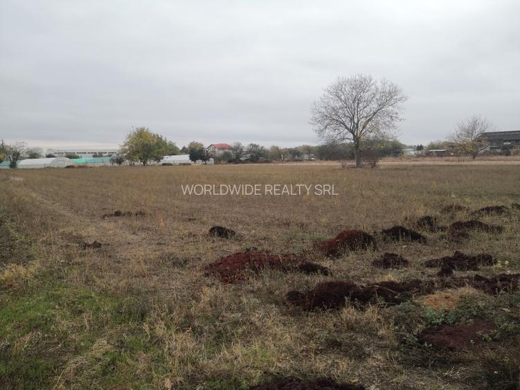 Magurele 1500mp langa padure, utilitati - 3