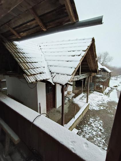 Proprietate rară – 2 case + livadă, vie și teren generos, la 20 km de Târgu Jiu - 8