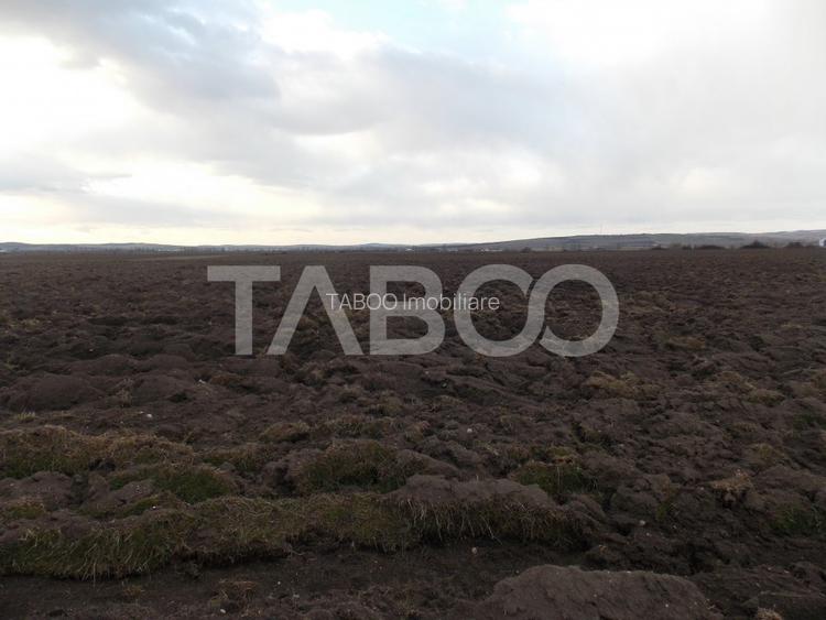 Teren intravilan de vanzare 10.000 mp in zona Industriala Vest Sibiu - 2