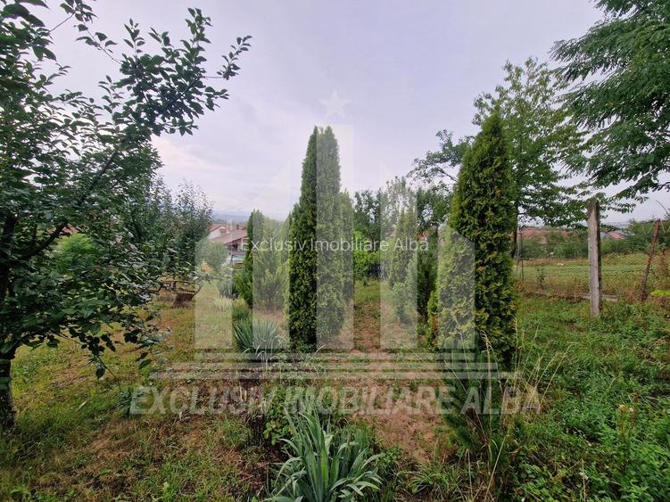 Casa individuala | 1 nivel | 140 mp | 2000 mp de teren | Ciugud - 11