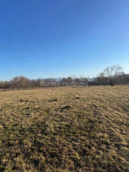 Oază de liniște cu vedere la munți – 2.600 mp lângă Aeroportul Sibiu (Cristian) - 3