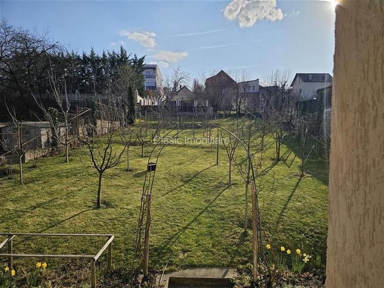 Vanzare proprietate cu potential, cartier Andrei Muresanu, Cluj-NApoca - 11