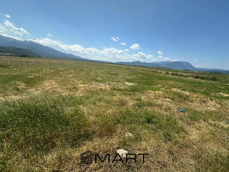 Teren Intravilan Rasnov 7.500 mp - 2