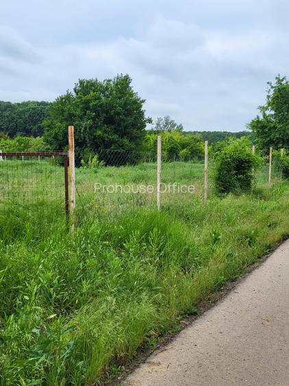 Teren Snagov – frumusețea calmă a lacului și liniștea pădurii. - 3