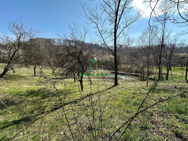 Teren Govora / 8131mp - 7