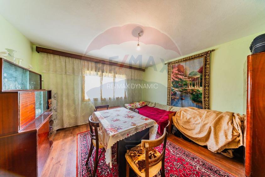 Casă cu teren 4500mp de vanzare in Carand Jud. Arad - 10