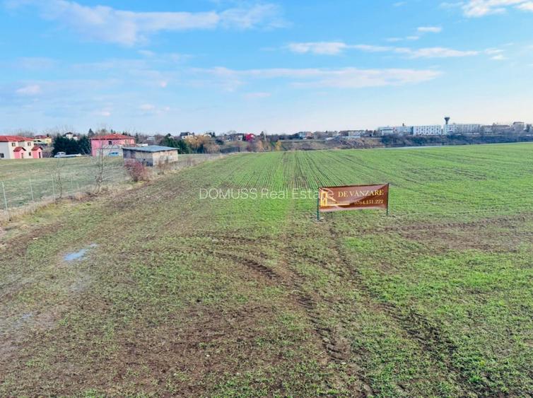 TEREN INTRAVILAN | BALOTESTI | DESCHIDERE 40 M LA LAC | 9.919 MP | LAHOVARI | - 2