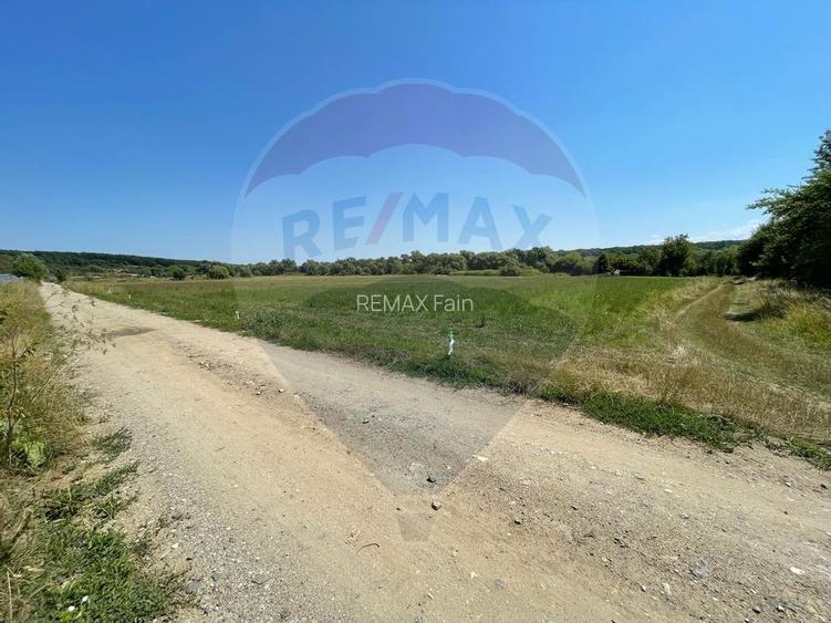 TEREN  INTRAVILAN  5000mp ORAS CISNADIE  STR. SELIMBARULUI - 12