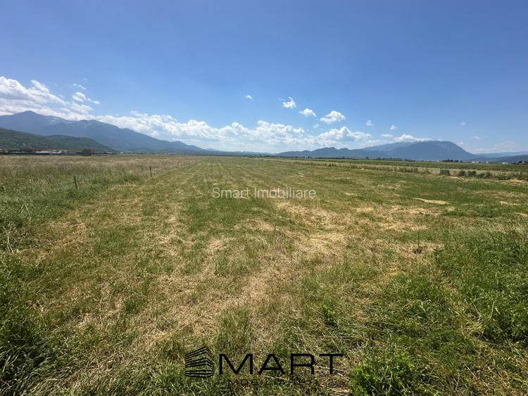 Teren Intravilan Rasnov 7.500 mp - 8