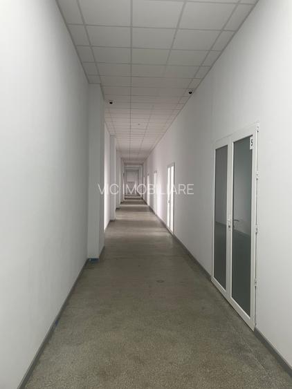 Hala Depozitare / Productie - Theodor Pallady - 3