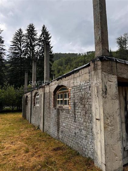 Oportunitate de investitie Cabana Cartisoara Zona Turistica - 36