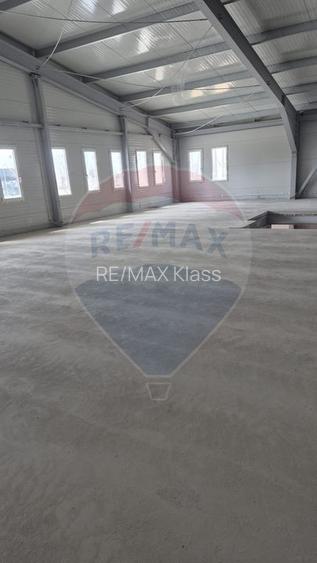 Spațiu industrial Balotesti - Tunari - Aeroport Otopeni - 5