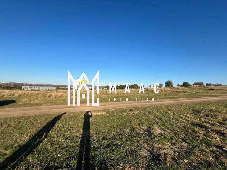 Teren 3000 mp  | Intravilan | Zona Turnisor-Magnolia - 2