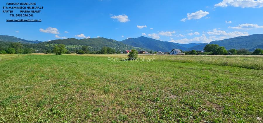 Teren intravilan Pangarati, 4400 mp - 2