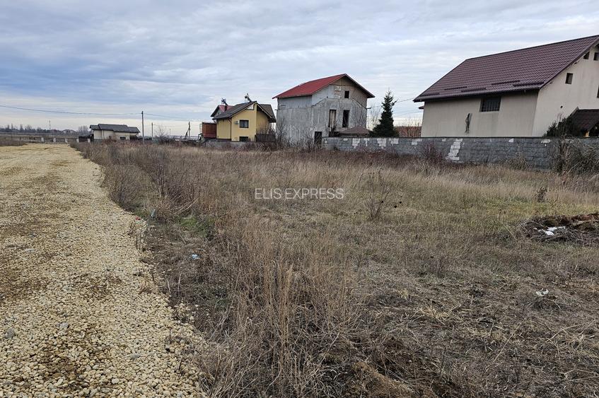 350mp TEREN INTRAVILAN, DRAGOMIREȘTI-VALE, PANSELELOR 16F, CERTIFICAT URBANISM - 3