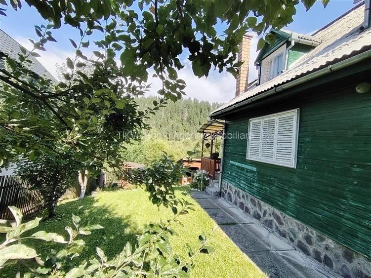 Casa de vacanta (Gheorgheni, str. Szarvas, zona Km 4) - 18