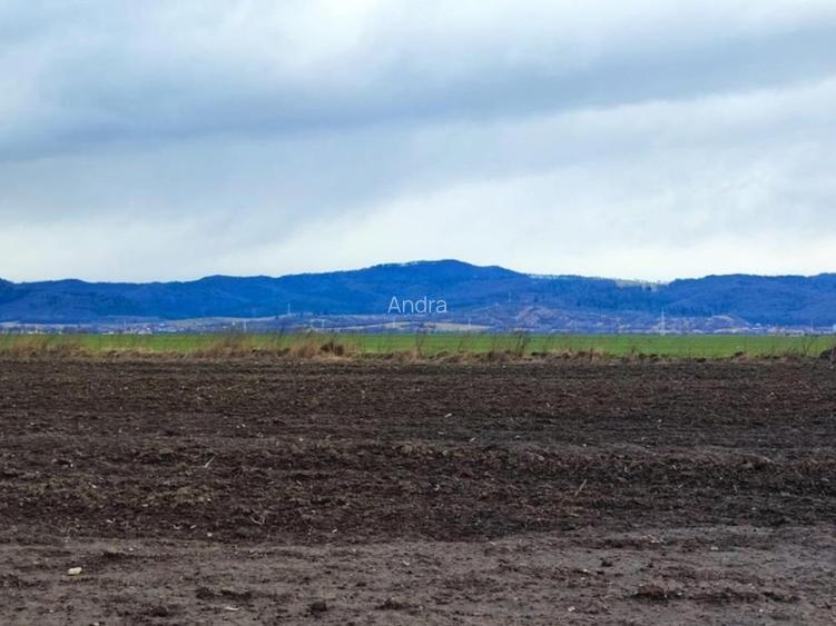 Teren  Cristian BV 13.6 ha - 4