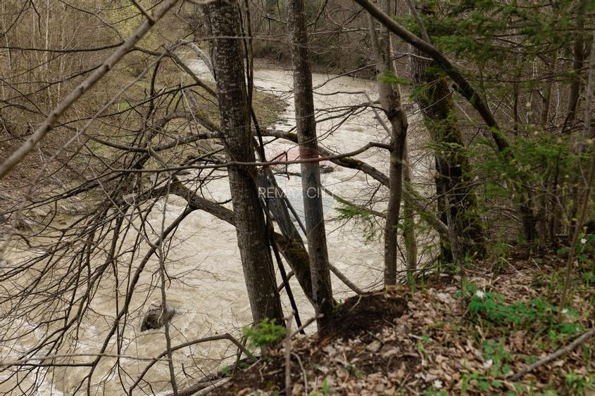 Casa si teren intravilan Tarcau - 18