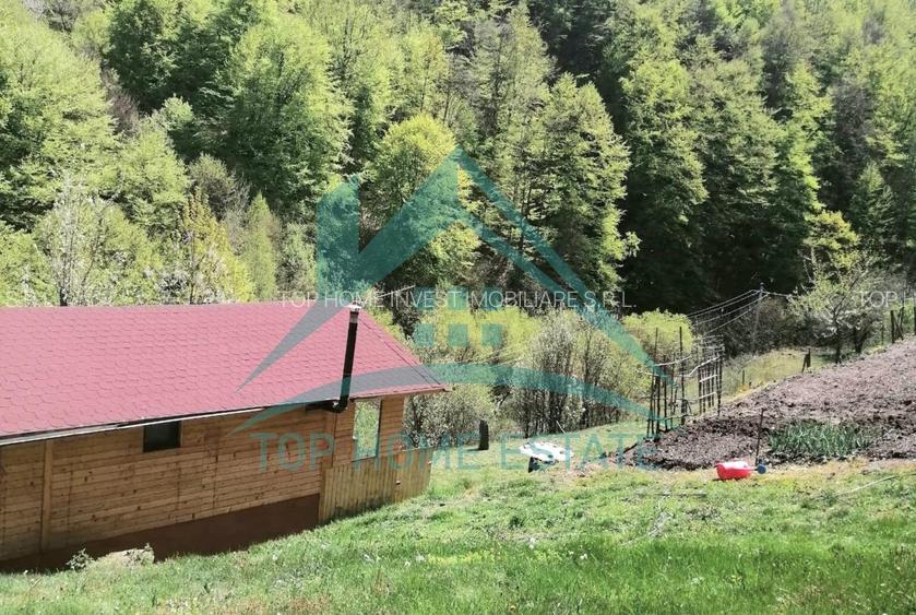 Cabana cocheta de vanzare cu teren generos 3000 mp, Baisoara! - 3