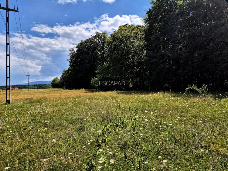 Teren 1000 mp intravilan/Sambata de Sus Brasov - 9