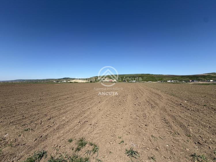 TEREN EXTRAVILAN DE VANZARE | 23 EURO/MP | 2900 MP | ZONA AEROPORT - 2