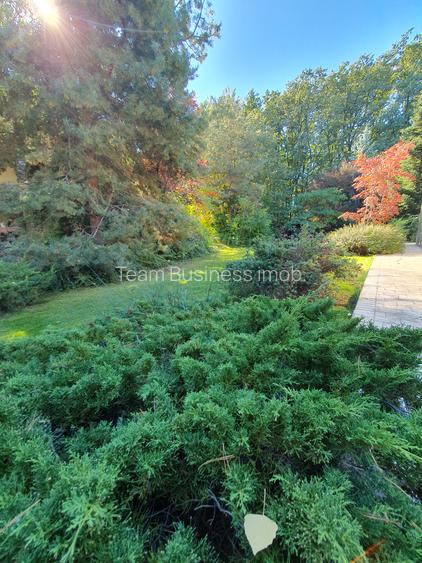 Vila S+P+1+M 650mp Paradisul Verde libera Vezi VIDEO - 11