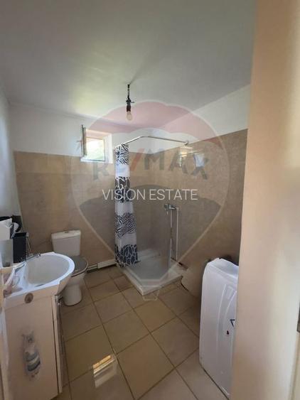 Casă / Vilă cu 5 camere de vânzare în zona Romanesti - 6