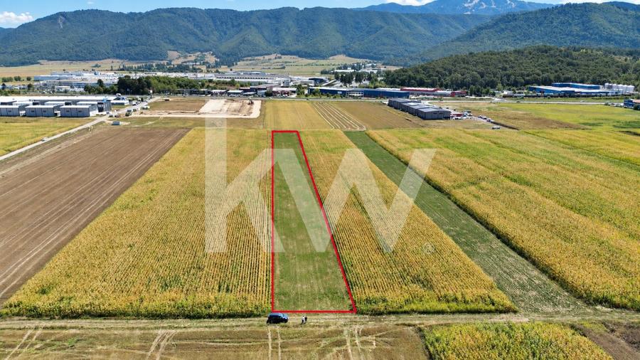 Teren intravilan 5094 mp,Cristian-Brasov