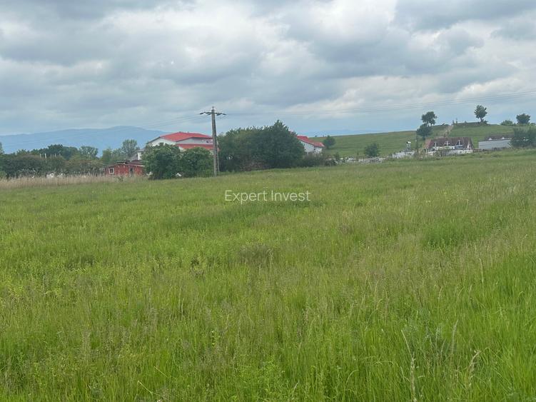 Vand teren extravilan 8.600 mp in Selimbar / jud. Sibiu - 5