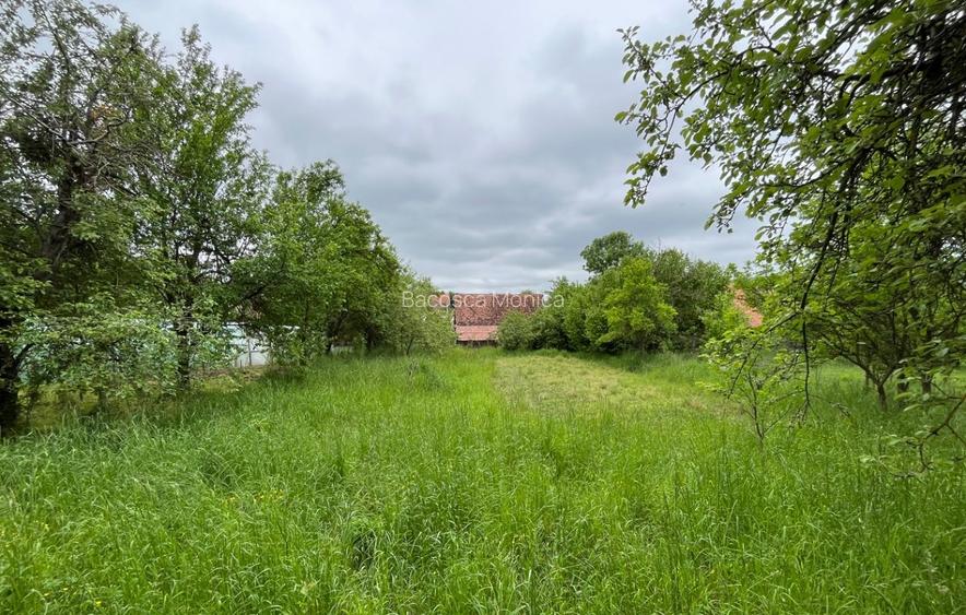 🏡 Casă săsească autentică în Viscri (UNESCO) | 2.500+ mp | Potențial pensiune | - 6