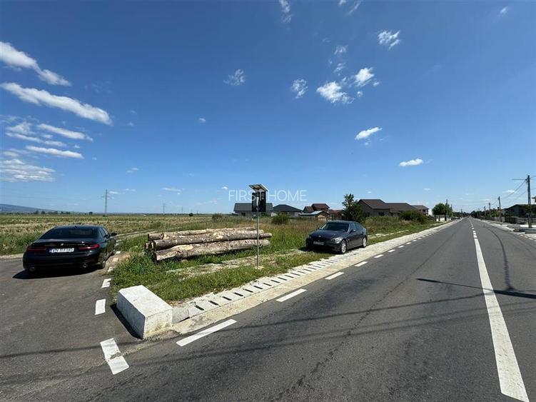 Teren in Golesti 9.848mp intravilan + extravilan  pret 6 euro / mp - 8