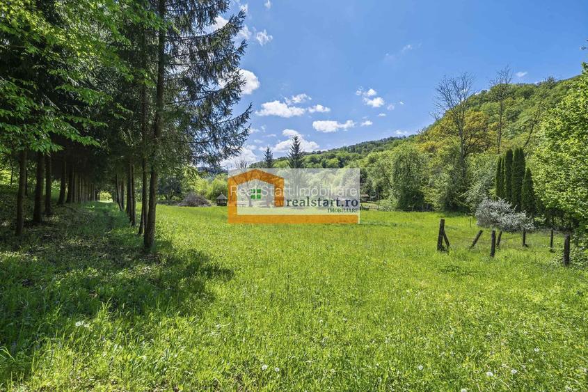 Oportunitate, Restaurant cu MiniPensiune 800mp, 1,8ha teren, Via Transilvanica - 59