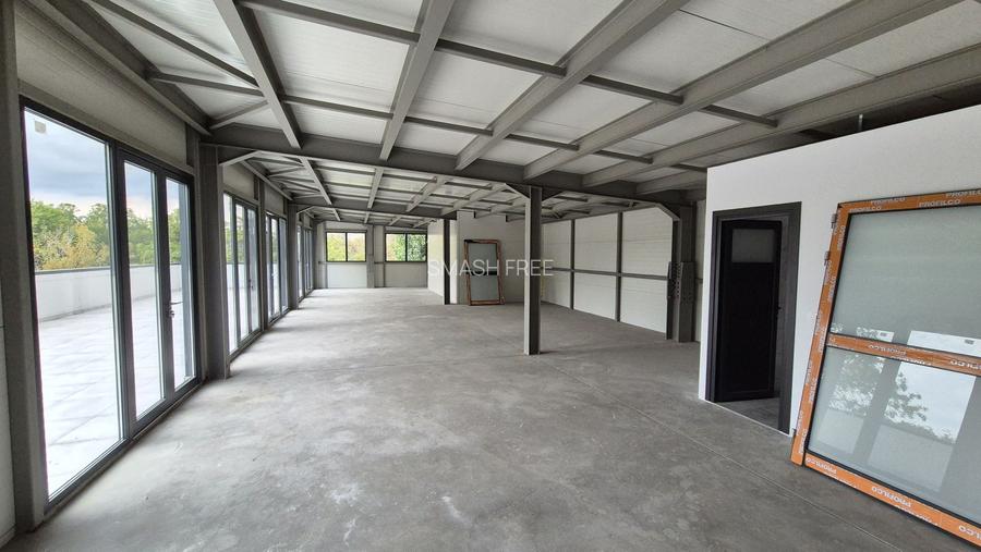 Spatiu comercial 125 mp utili + 100 mp terasa - Basarabia - Muncii - 3