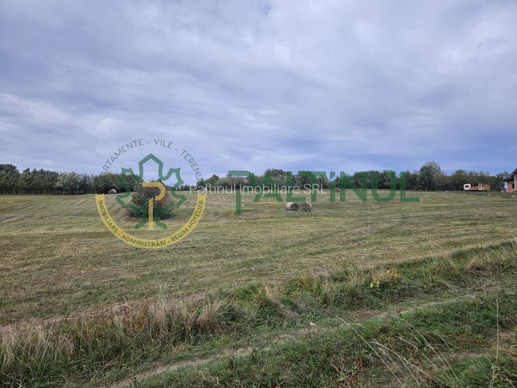 Teren de vanzare ,Tocile, Sibiu, case de vacanta si locuinte - 12