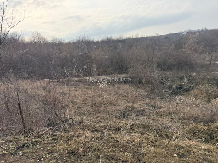 Teren cu priveliste superba, Vladiceni Iasi - 5