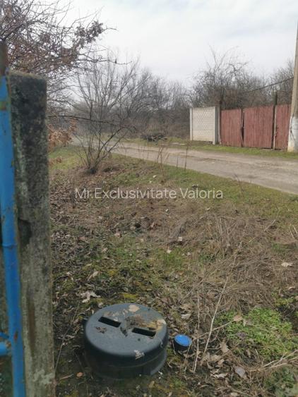 Casa batraneasca Zanoaga - 2002 mp teren - 4