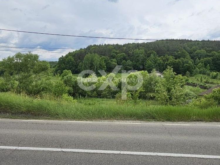 Teren 7,797mp Podis / Calea Moinesti - 3