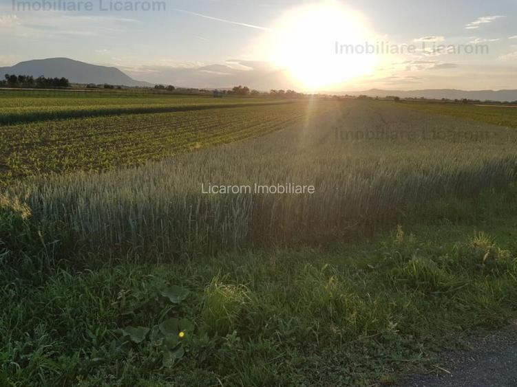 Teren Stupini Calea Feldioarei 4600 mp,22 euro/mp, front la asfalt - 2