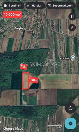 Terenuri Domnesti - 500mp -> 4 Ha - 21