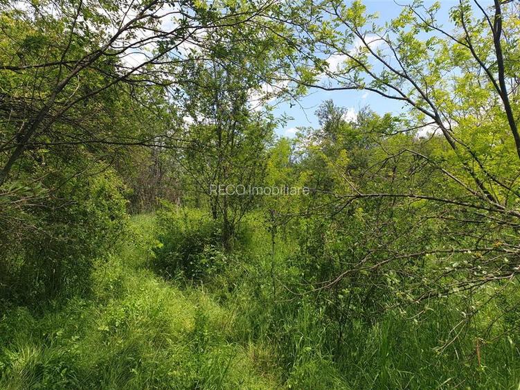 Teren extravilan Episcopia Bihorului - 3