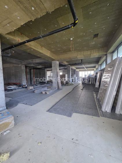 Zona Viilor sp 442 mp open space 10 locuri de parcare - 6