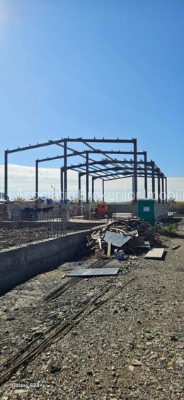 De vanzare | 6 hale x 600 mp | Afumati - 9