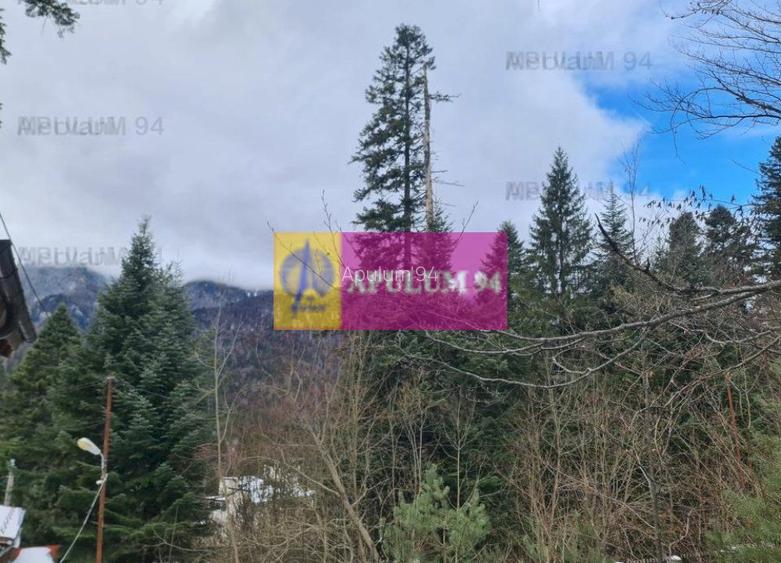 Vilă de vânzare in Sinaia - Zona Cumpătu - 8