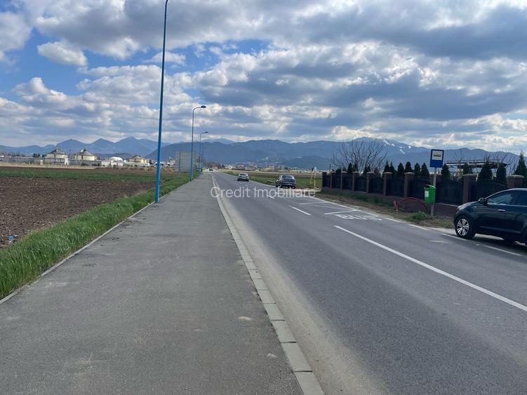 Teren Stupini 1643mp - 3