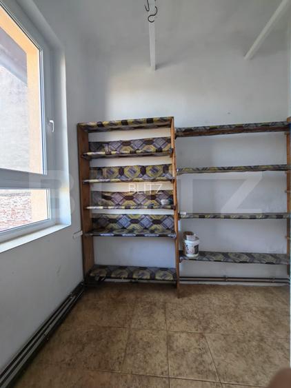 Casa istorica, 2 apartamnte, curte proprie- posibilitati multiple, zona Balcescu