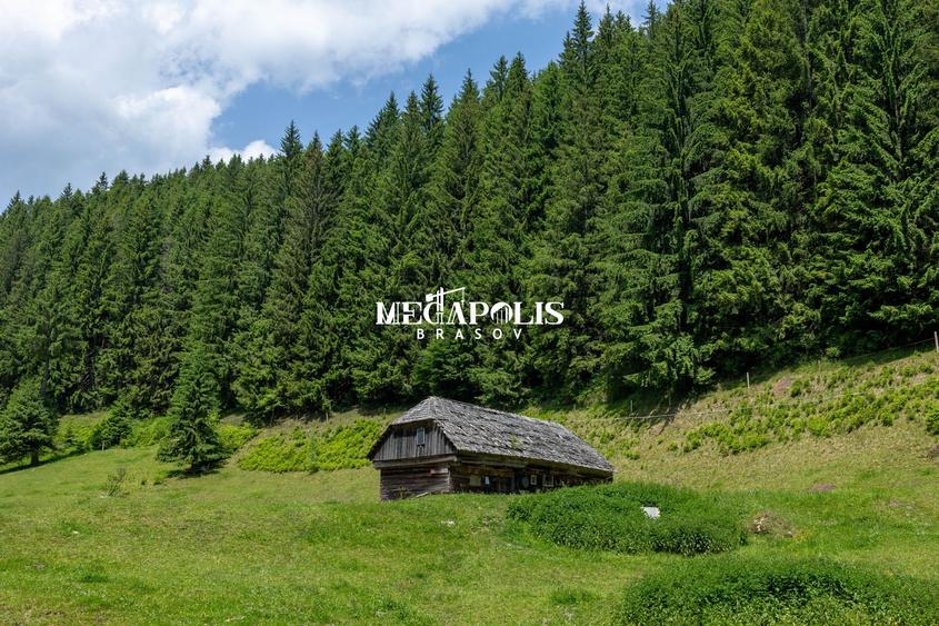 Teren intravilan | Moieciu de Sus | 12307 | PUZ