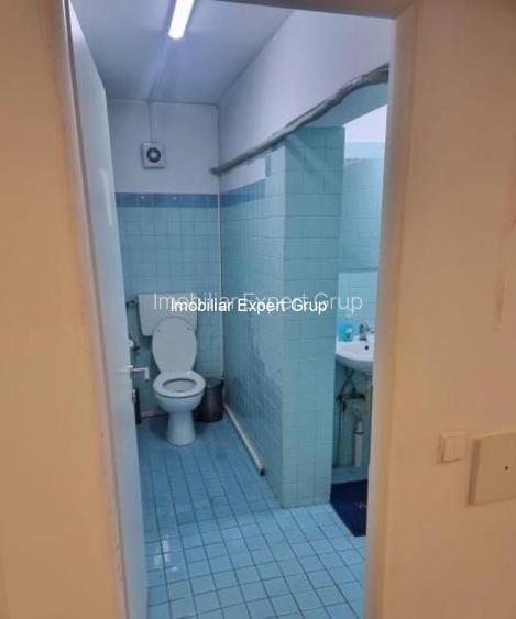 Dacia-Piata Gemeni - 7