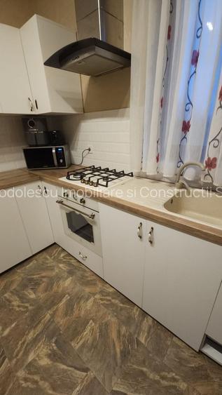 Vila individuala la 30 km de Timișoara - 8